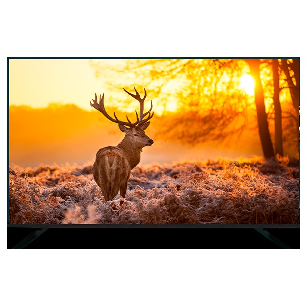 Купить Телевизор Artel A43MF3300 Smart tv 43" , черный в Ташкенте — цена, рассрочка, отзывы ⭐ Olcha.uz