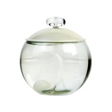 Cacharel Noa EDT 100ml (Original)
