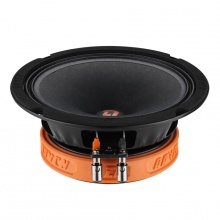 Акустическая система DL Audio Raven 165