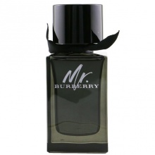 Burberry Mr. Burberry (M) EDP 100ml