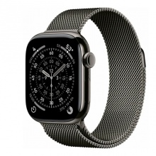 Apple Watch 11 (2025) Milanese Loop 46 мм Slate Apple Watch 11 (2025) Milanese Loop 46 мм Slate