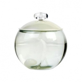 Cacharel Noa EDT 100ml (Original)