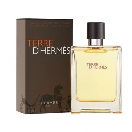 Hermes Terre d'Hermes EDT 100ml (Original) Hermes Terre d'Hermes EDT 100ml (Original)