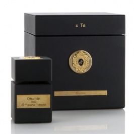 Gumin Tiziana Terenzi 100ml EDP Unisex (Original)