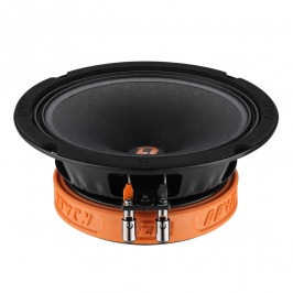 Акустическая система DL Audio Raven 165