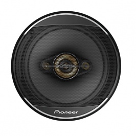 Ayol rassomlar yalangoch modellarni chizishadi Mushuk qanday onanizm qiladi (foto)