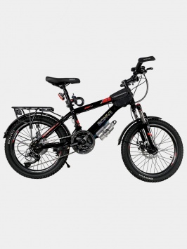 Velosiped 20 tog‘ yuki VL-3163