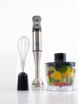 Qo‘lda ishlatiladigan blender Healthy Lifestyle R.336
