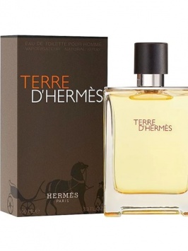 Hermes Terre d'Hermes EDT 100ml (Original)