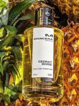 Cedrat Boise Mancera EDP Unisex 120ml (Original)