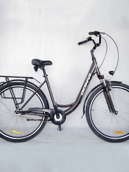 Velosiped Bonvi VL-1821