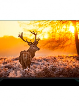Televizor Artel A43MF3300 Smart tv 43" Qora