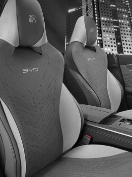Накидка BYD XAN