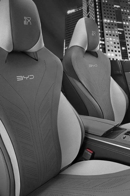 Накидка на сиденье BYD XAN