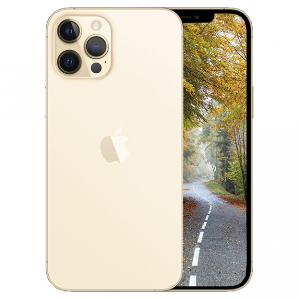 Iphone 13 pro gold. Apple iphone 12 pro 128gb gold. Iphone 11 pro max 256gb золотой. Iphone 12 pro max 256gb. Apple iphone 12 pro 128gb gold.