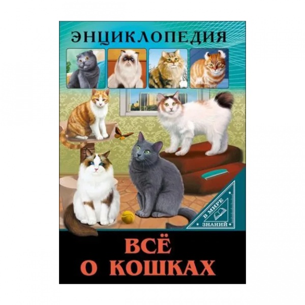 Купить Энциклопедия. В мире знаний. Всё о кошках в Узбекистане - в ...