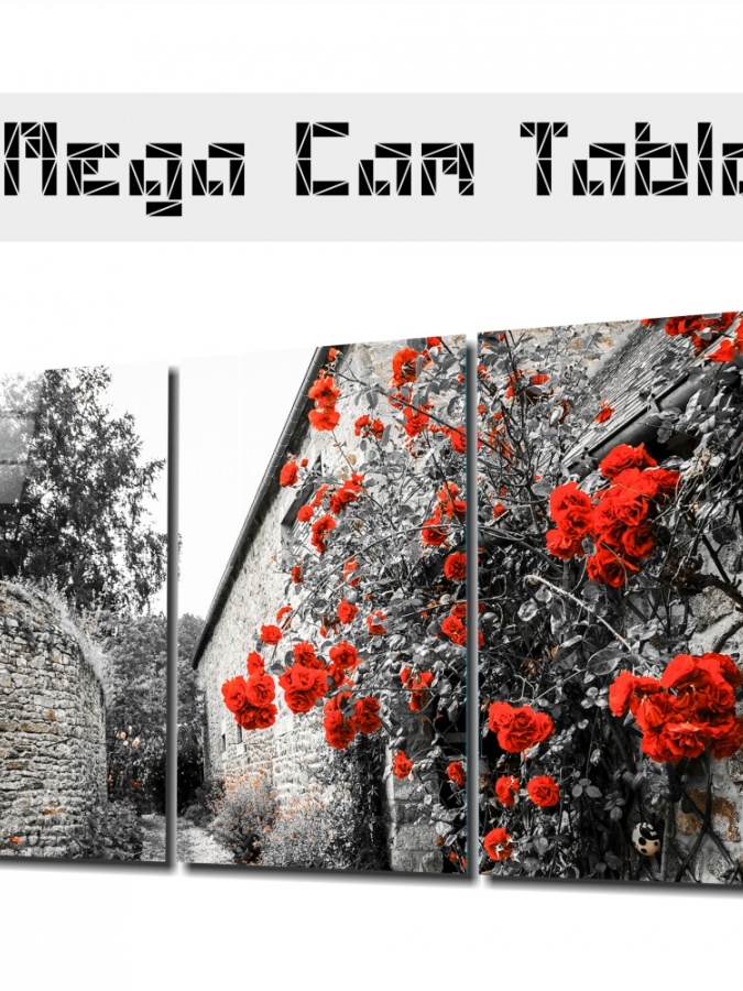 Qizil gullar Mega Shisha devor rasmlari (72x46)