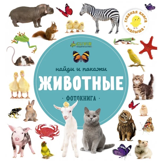 Найди и покажи. Фотокнига. Животные