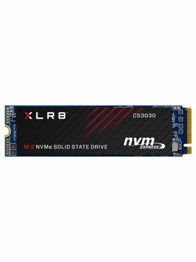 PNY M.2 NVME 500GB