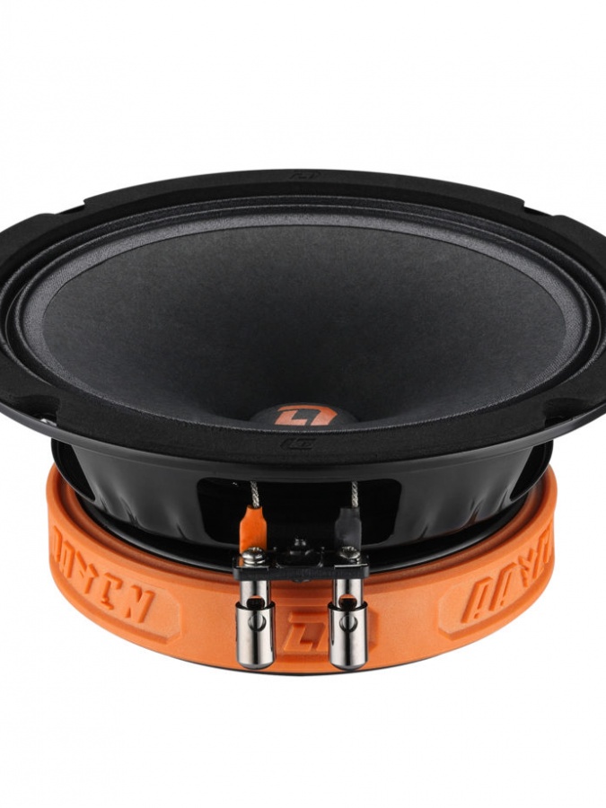 Akusticheskaya sistema DL Audio Raven 165