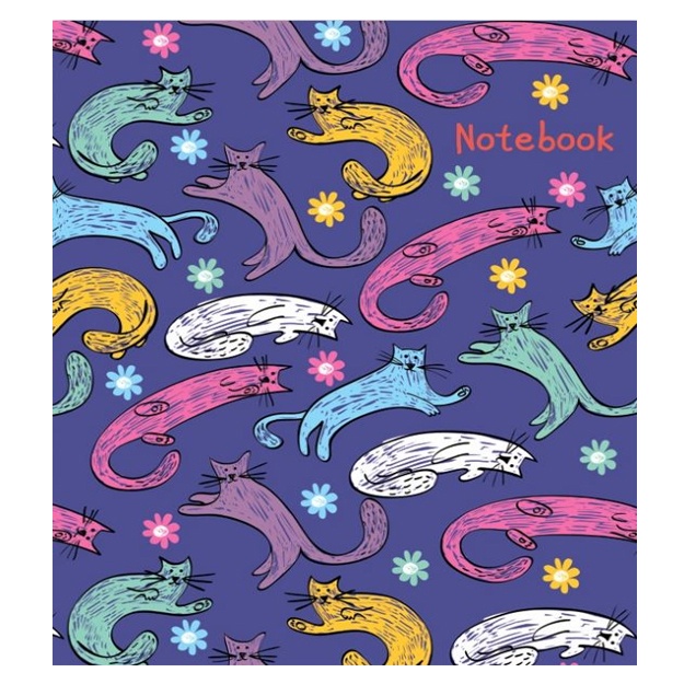 Yozuv daftarchasi Notebook A6+ Feniks+ 117x151mm 48varoq (47118)