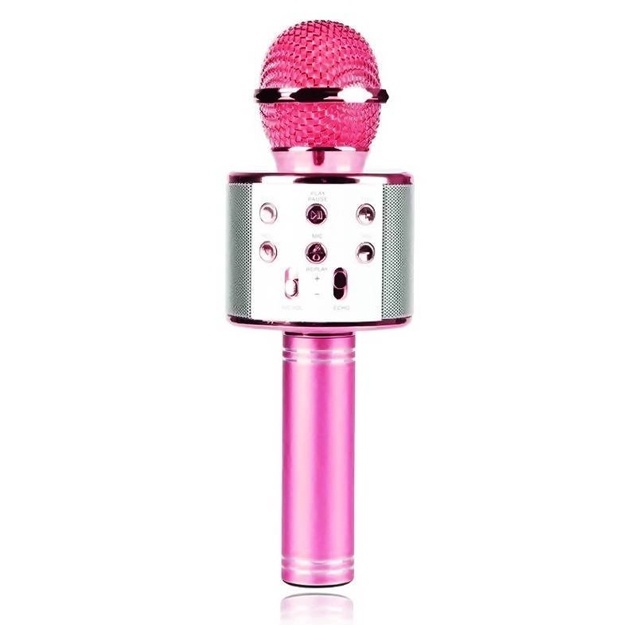 Karaoke-mikrofon Wster WS-858 pushti