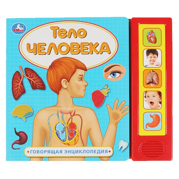 Тело человека (5 звук. кнопок, Говорящая энциклопедия)