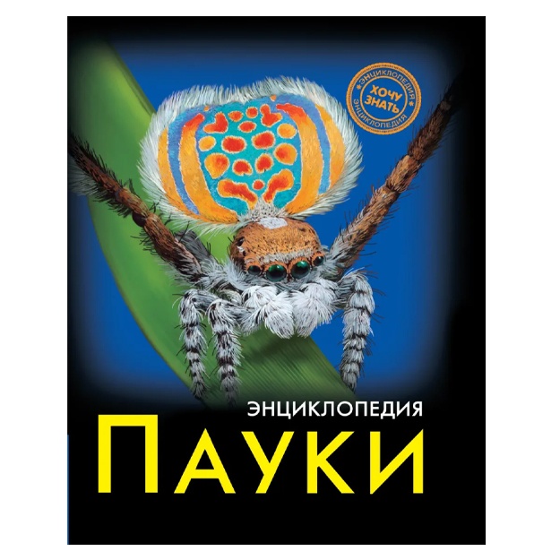 Sokolova Lyudmila: Entsiklopediya "Xochu znat". Pauki