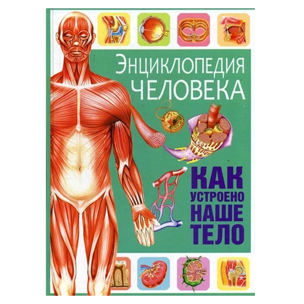 Fedanova Yu.: Entsiklopediya cheloveka. Kak ustroeno nashe telo