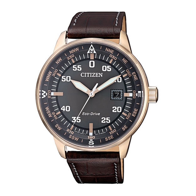 Наручные часы Citizen Eco Drive Standard BM7393-16H