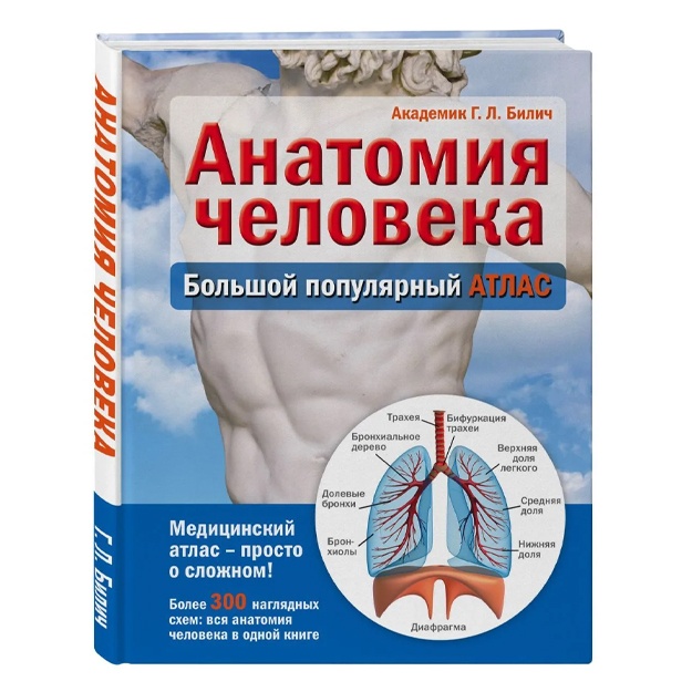 Anatomiya cheloveka: bolshoy populyarniy atlas