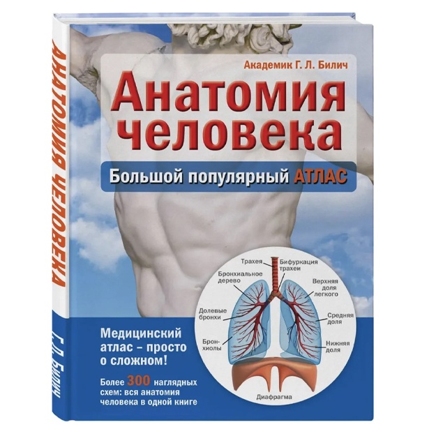 Анатомия человека: большой популярный атлас. Билич Габриэль Лазаревич