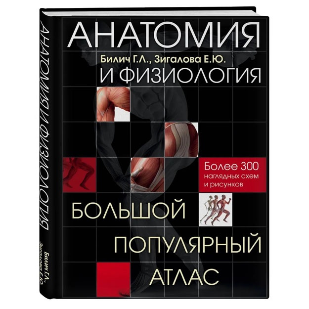 Anatomiya i fiziologiya. Bolshoy populyarniy atlas.  Zigalova Yelena Yurevna, Bilich Gabriel Lazarevich