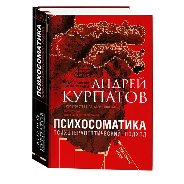Psixosomatika. Psixoterapevticheskiy podxod