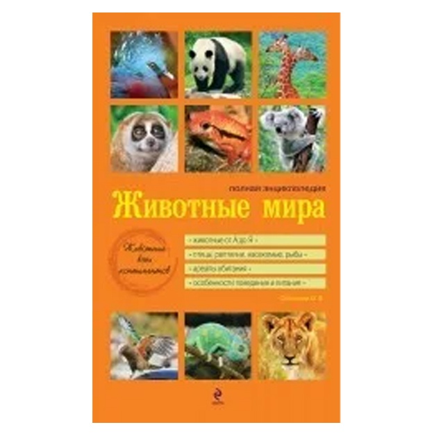 Скалдина Оксана Валерьевна: Животные мира.