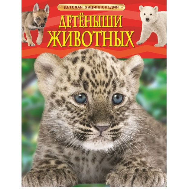 Травина И. В. Детеныши животных. Детская энциклопедия