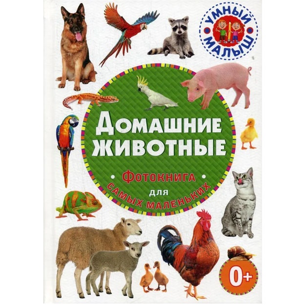 Domashnie jivotnie. Fotokniga dlya samix malenkix.