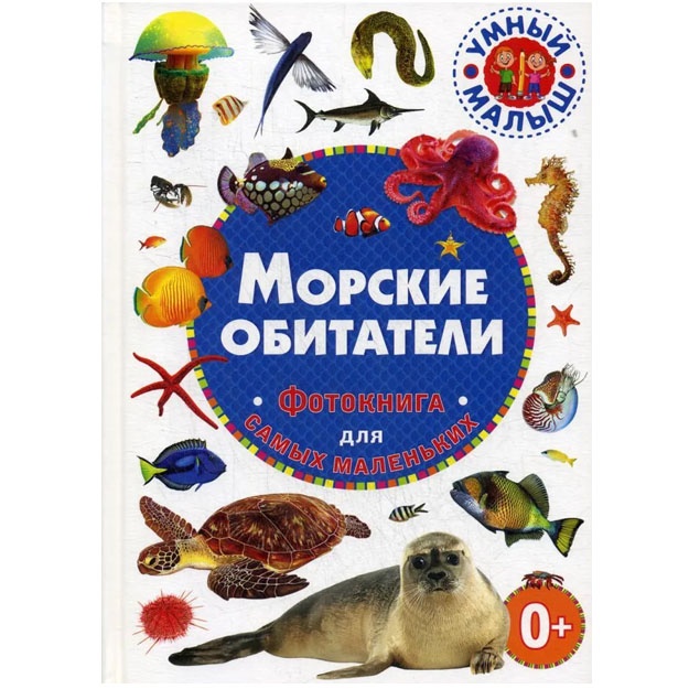 Морские обитатели. Фотокнига для самых маленьких.