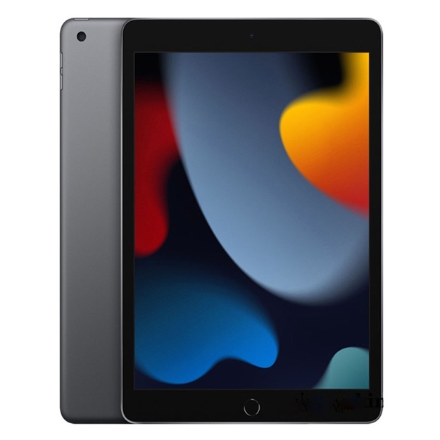 Apple iPad 9 4G Kosmik kulrang 256 GB