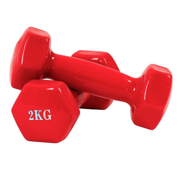 Гантели для фитнеса PowerGym 2кг красный
