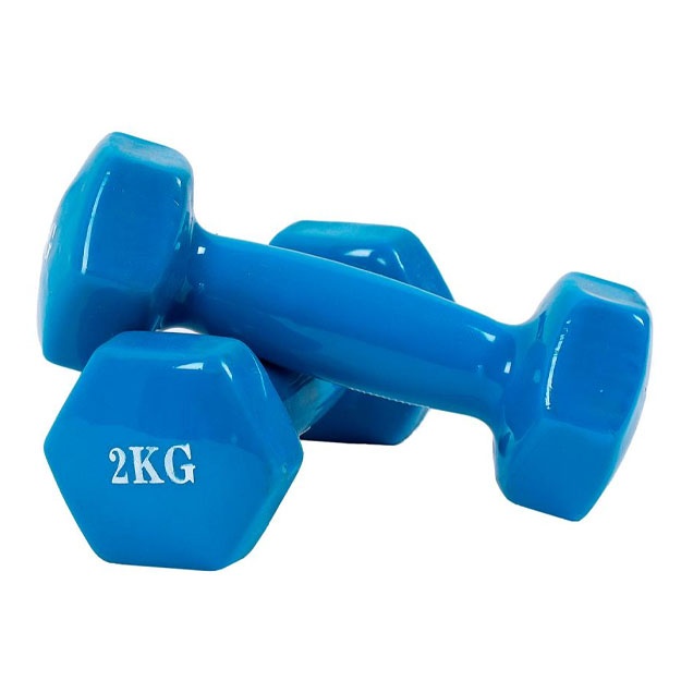 Гантели для фитнеса PowerGym 2кг Синий