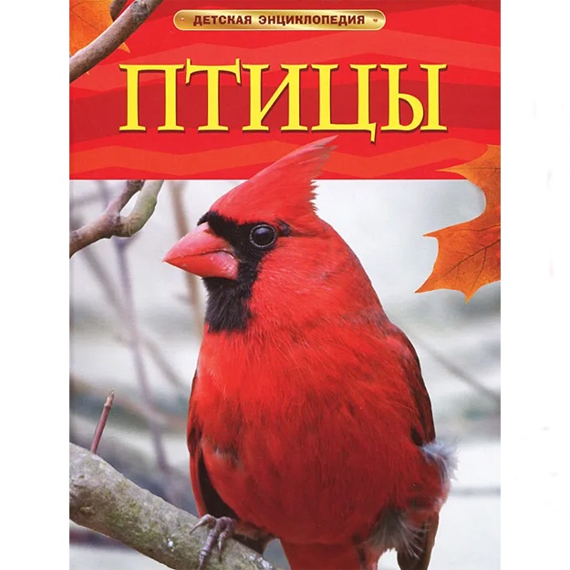 Догерти Дж.: Птицы. Детская энциклопедия.