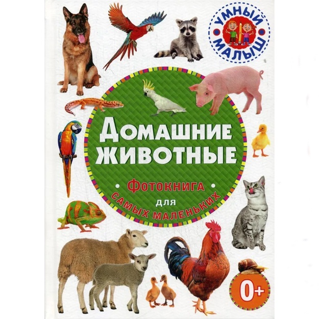 UM. Domashnie jivotnie. Fotokniga dlya samix malenkix