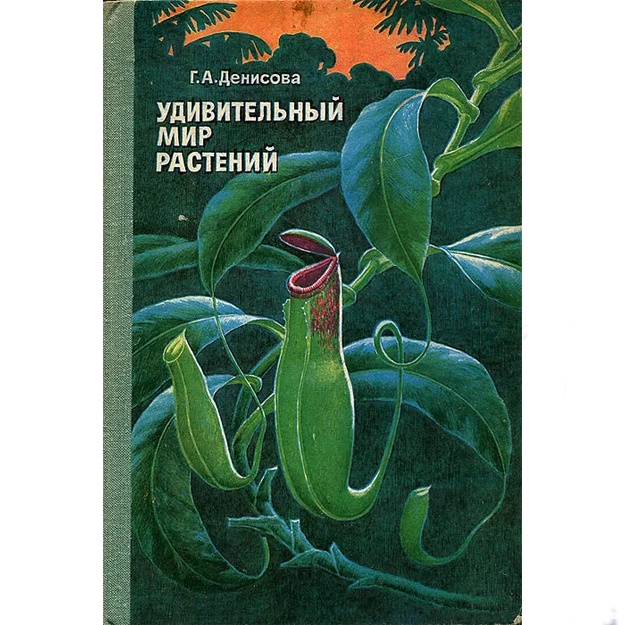 Г. А. Денисова: Удивительный мир растений