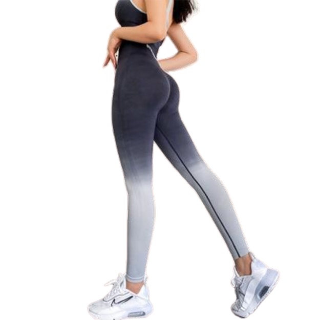 Ombre Push-up m leggings FWLEG35