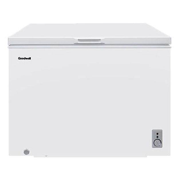 Muzlatgich Goodwell GW CF400 W2
