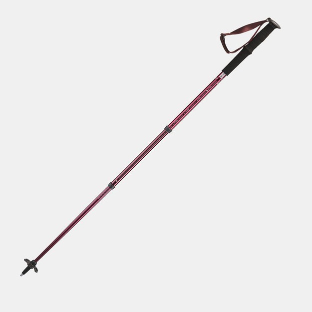 Trekking tayoqchasi Decathlon Arpenaz200 Comfort