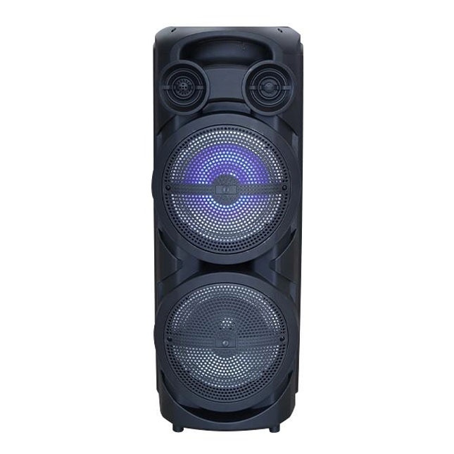 Portativ dinamik ZQS-8202s