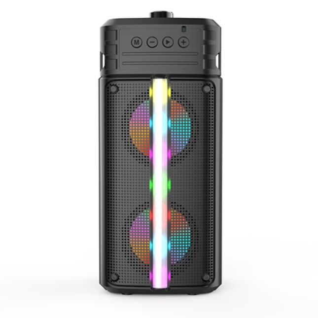 Portativ dinamik ZQS4242