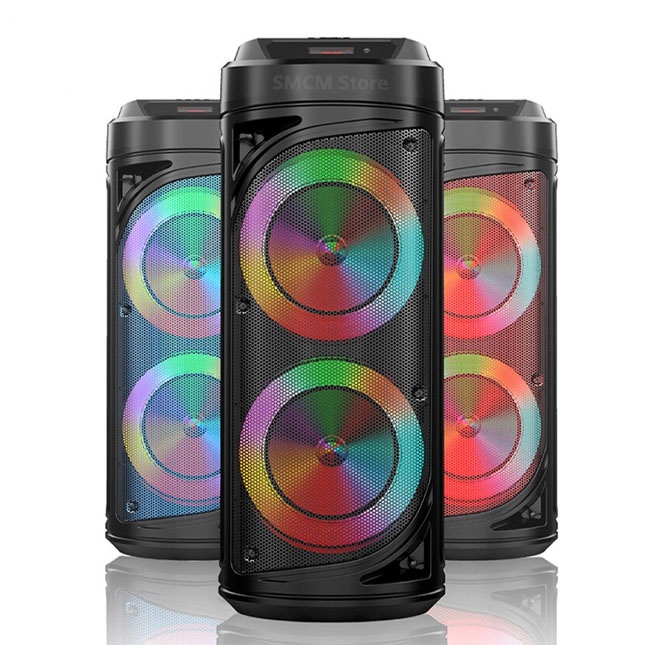 Portativ dinamik ZQS6212
